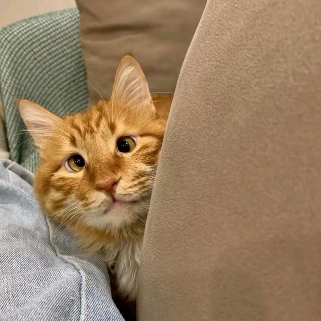 阿生（逆战未来）