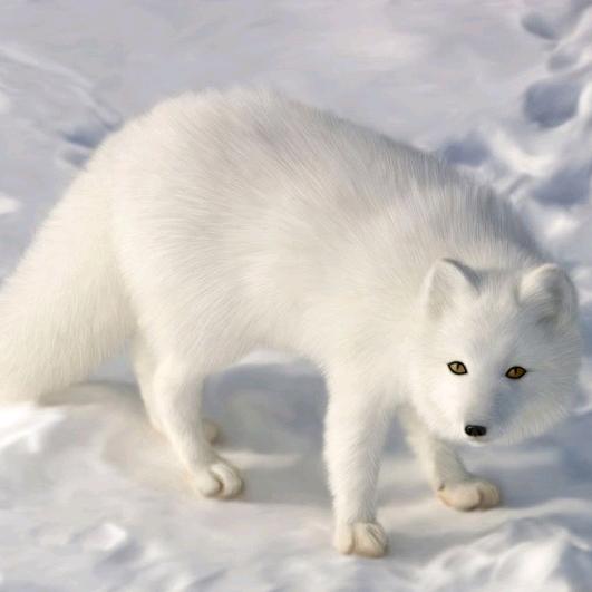 真无语了