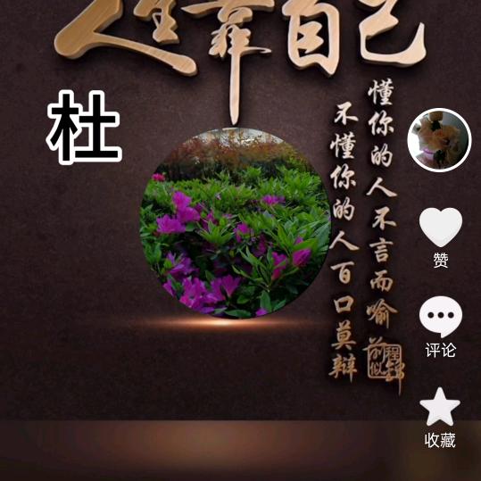 🌺平淡人生🌺