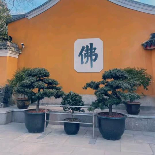 自☞渡