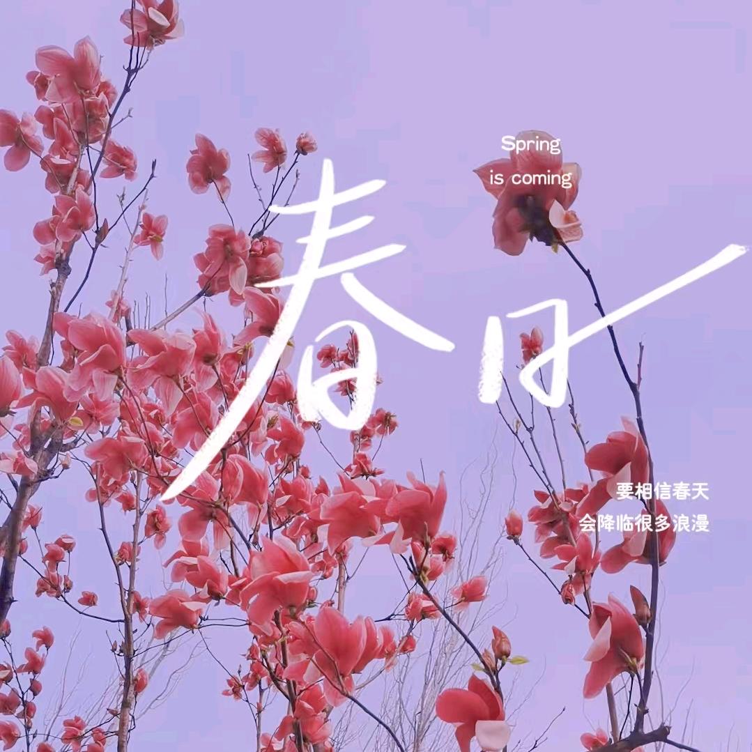 顺其自然