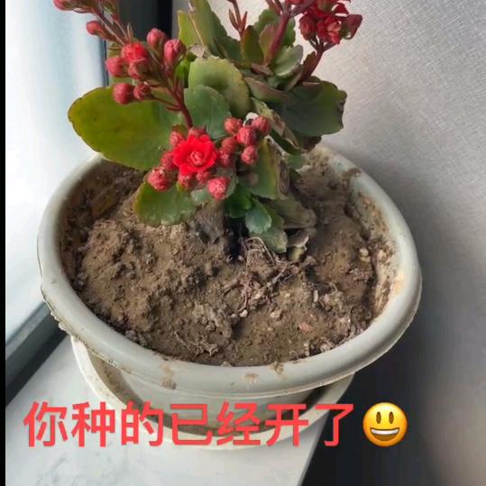 酒店客房