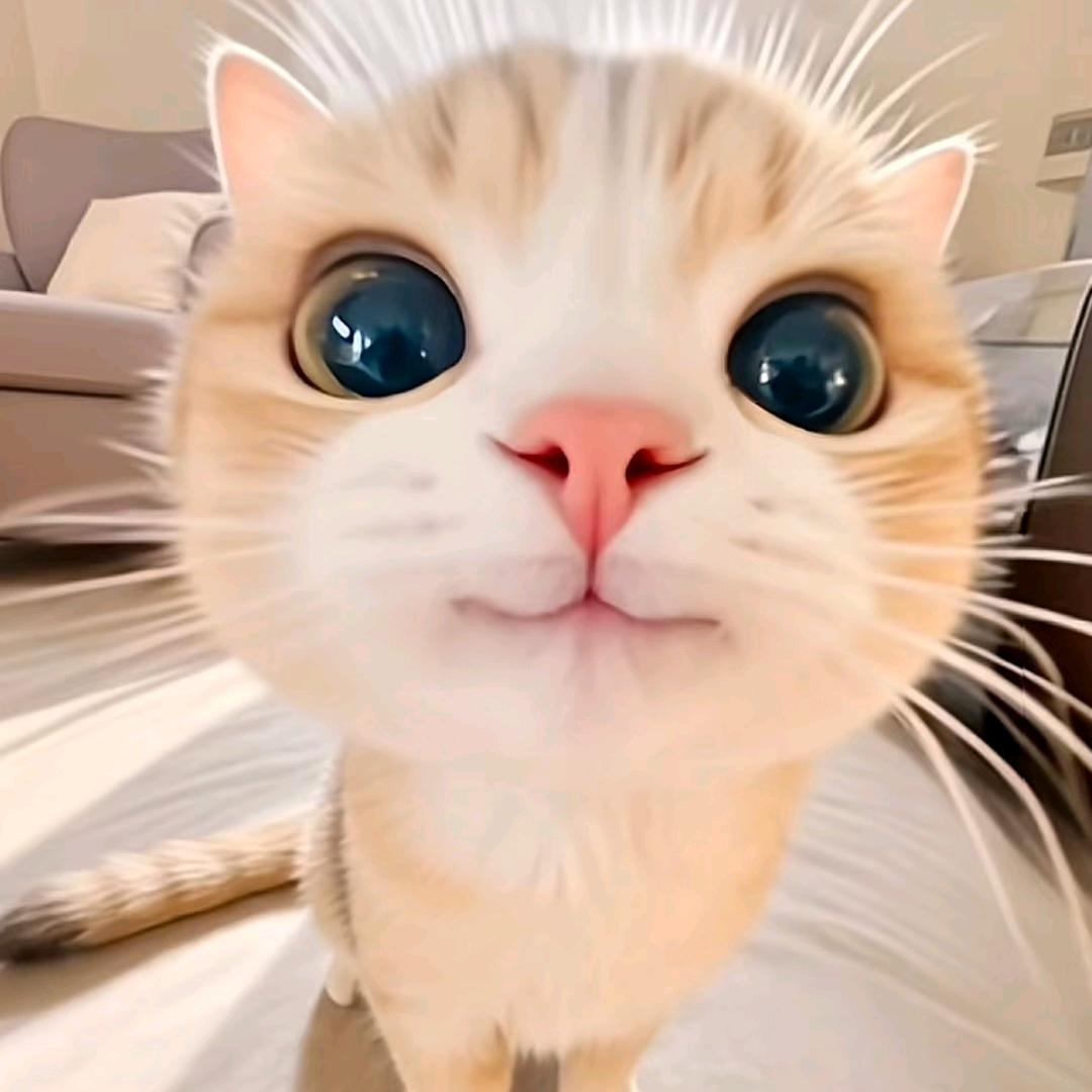 独有的个性