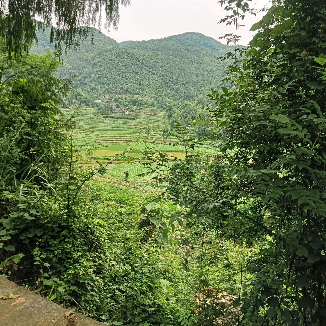 用镜头记录每一天