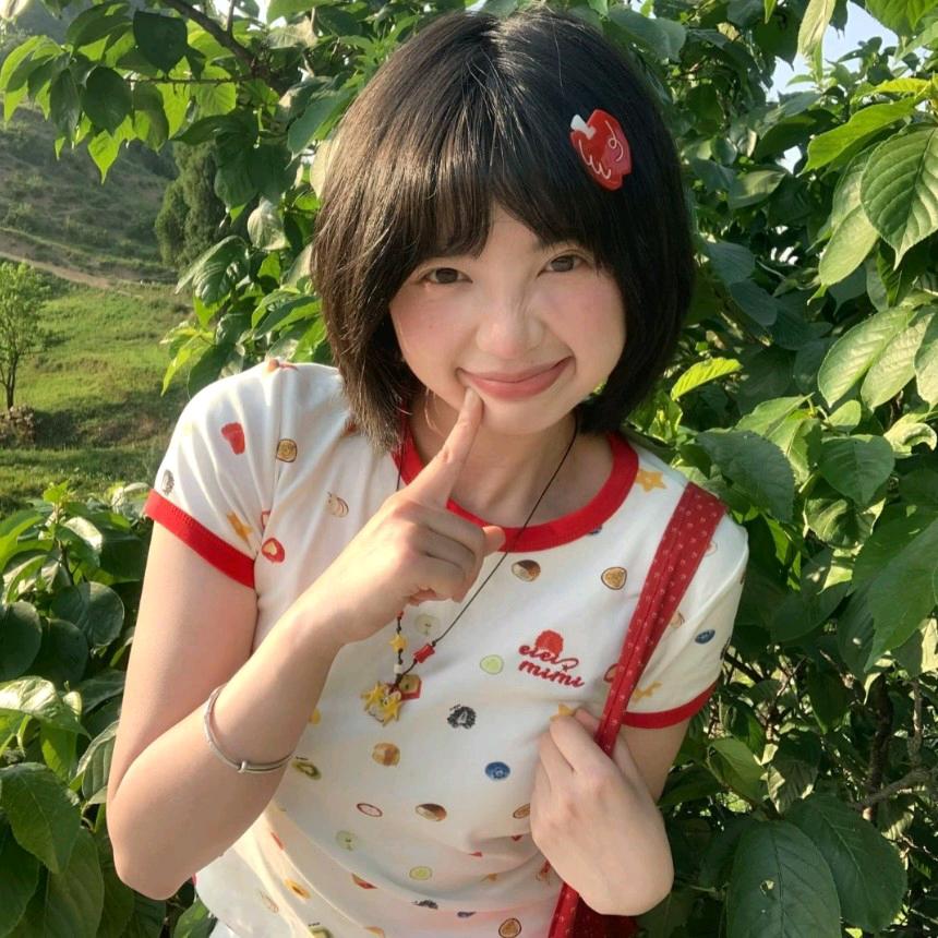 苹果片苹果