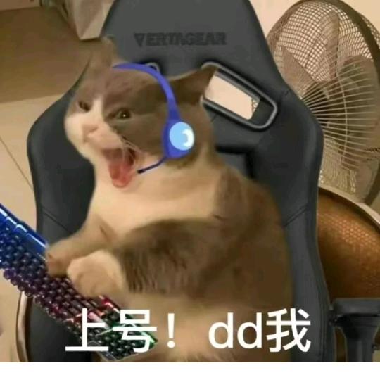 游你说了算