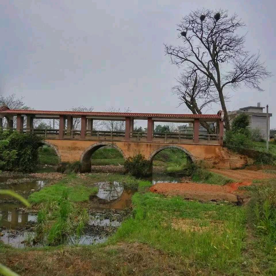 🇨🇳湴塘小杨💫