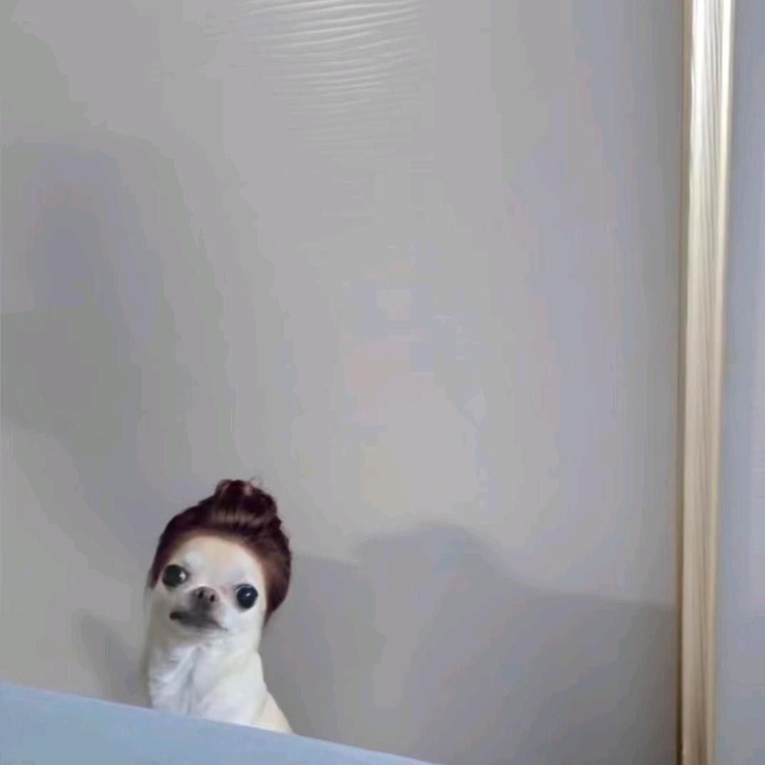 睡个好觉