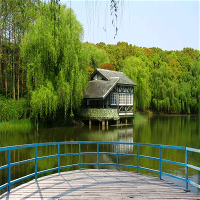 中鼎清妃堂健康小屋（万年一店）