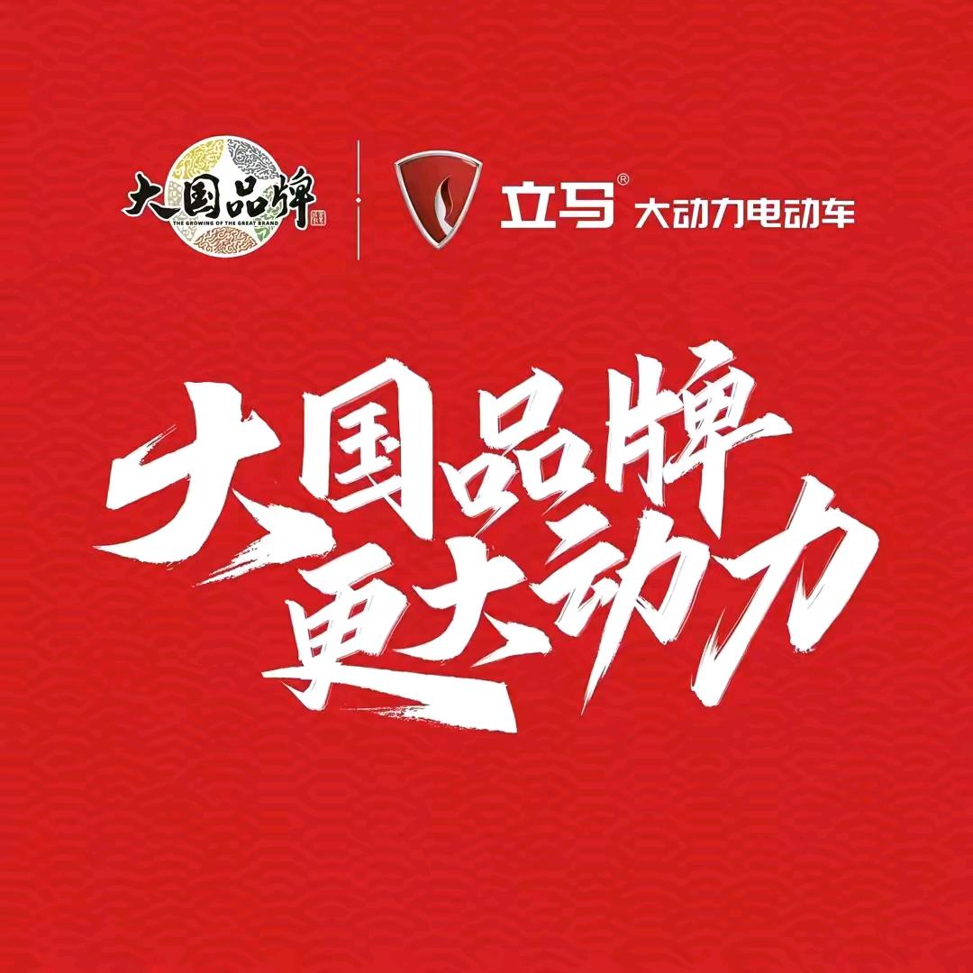 立马电动车(大龙站店)