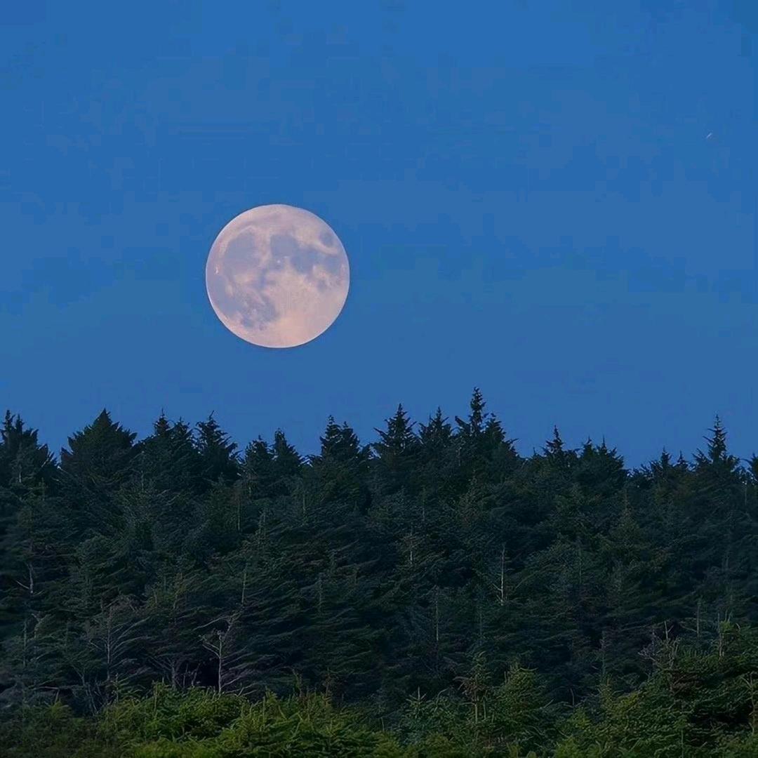 上好佳 (🇨🇳致敬80载，减80斤）