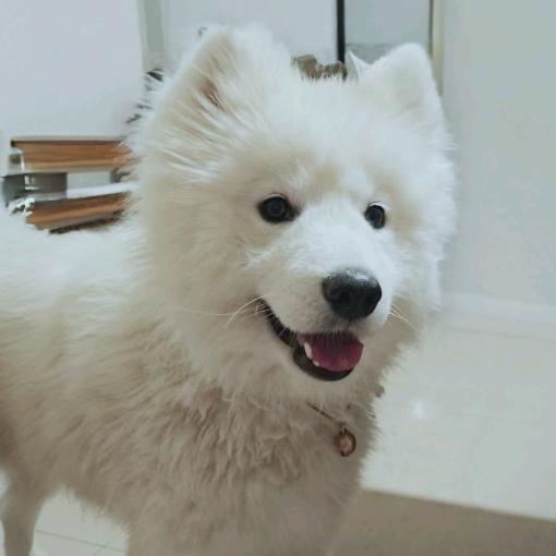 可乐耶耶耶耶耶～