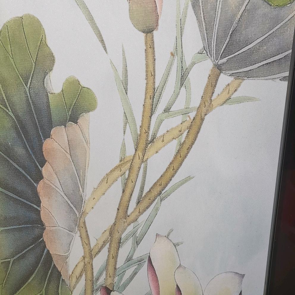 奶奶的轩宝