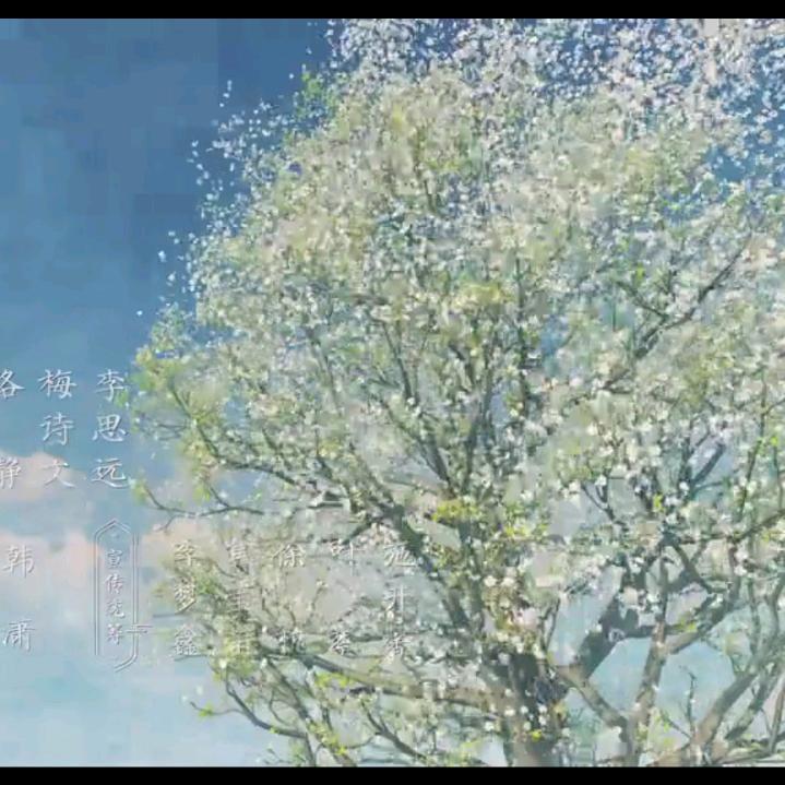 姐-是限量版