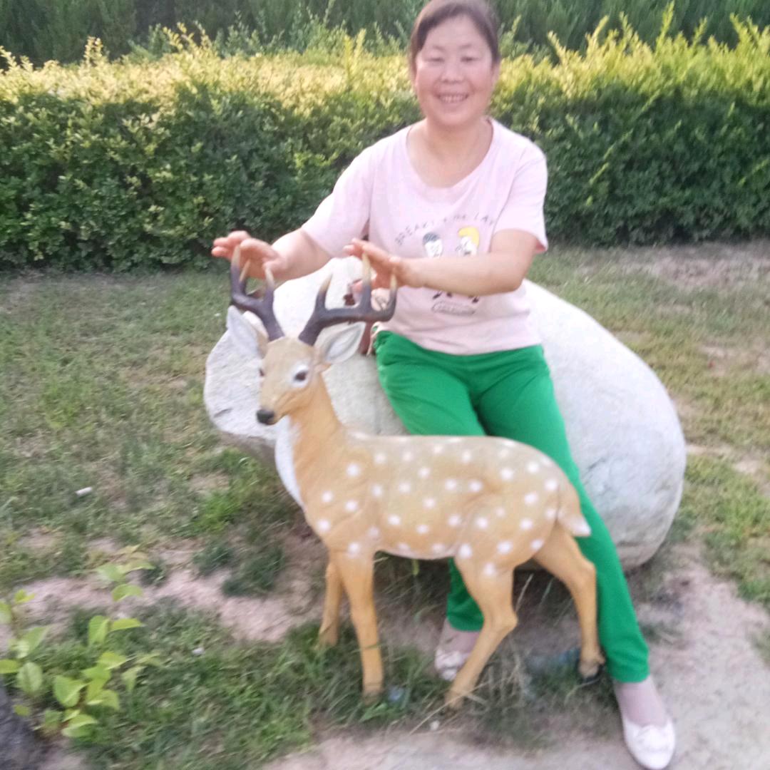 欢乐一生