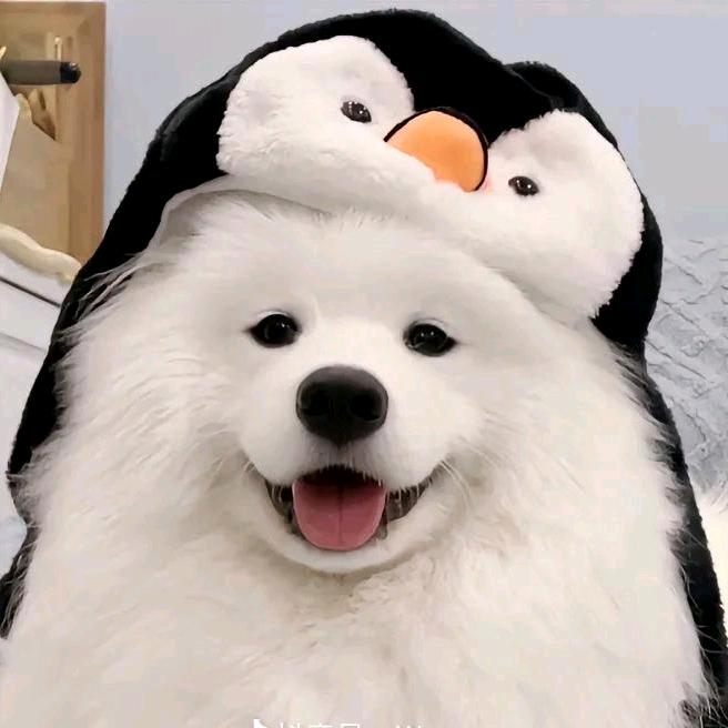 冰雪女王