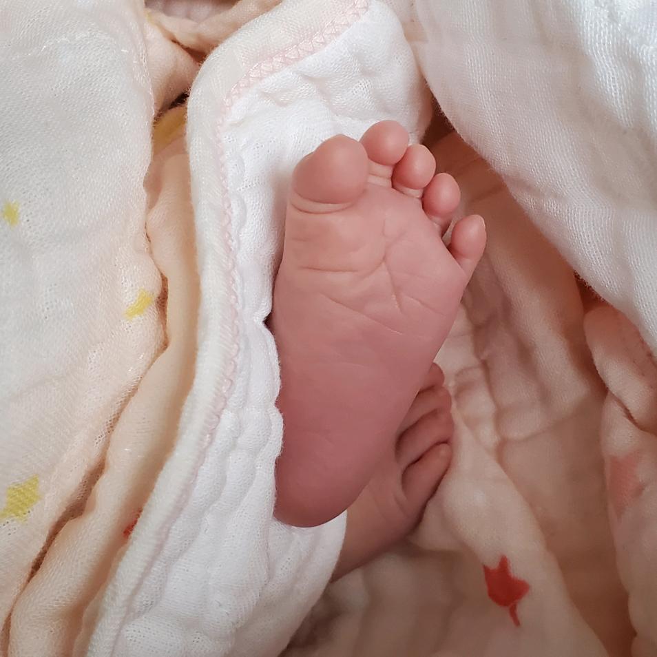 花妖(席乐顿家居💓💞💕)