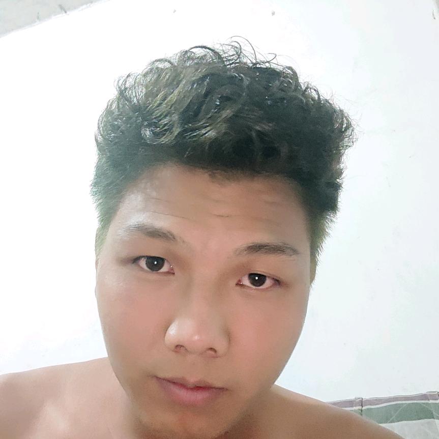 麦麦蚊