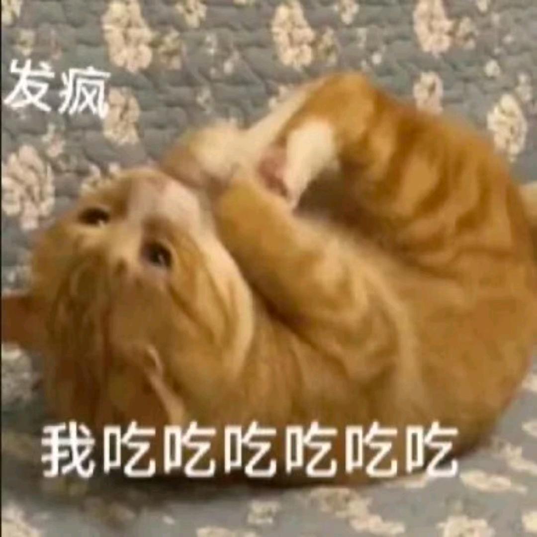 誉旸时若