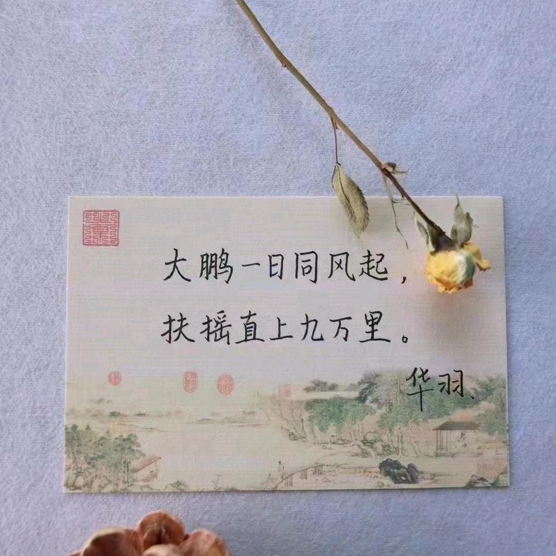 足疗小姐姐