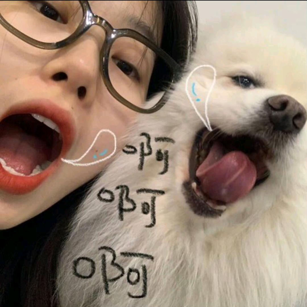 午顿•苹布尼茨