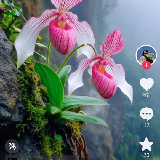 茶乡哥