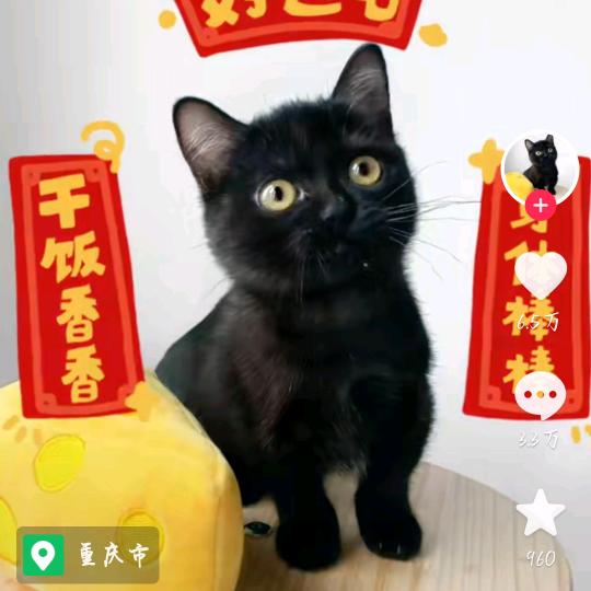 乄㥐（无缘）