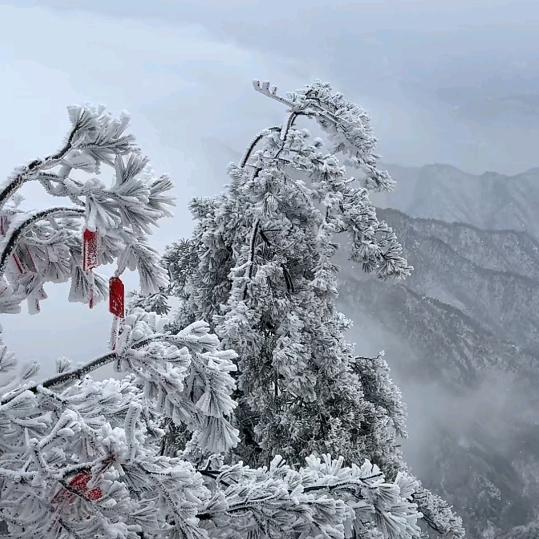 勇敢的心