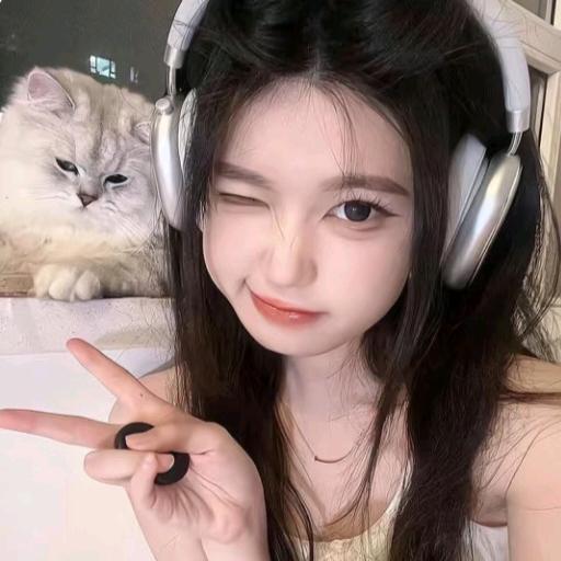 呆呆（和平精英）