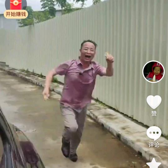 粤金凤鸡苗