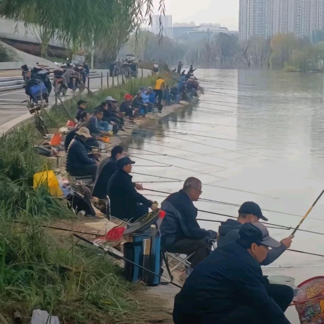 这世界我不懂