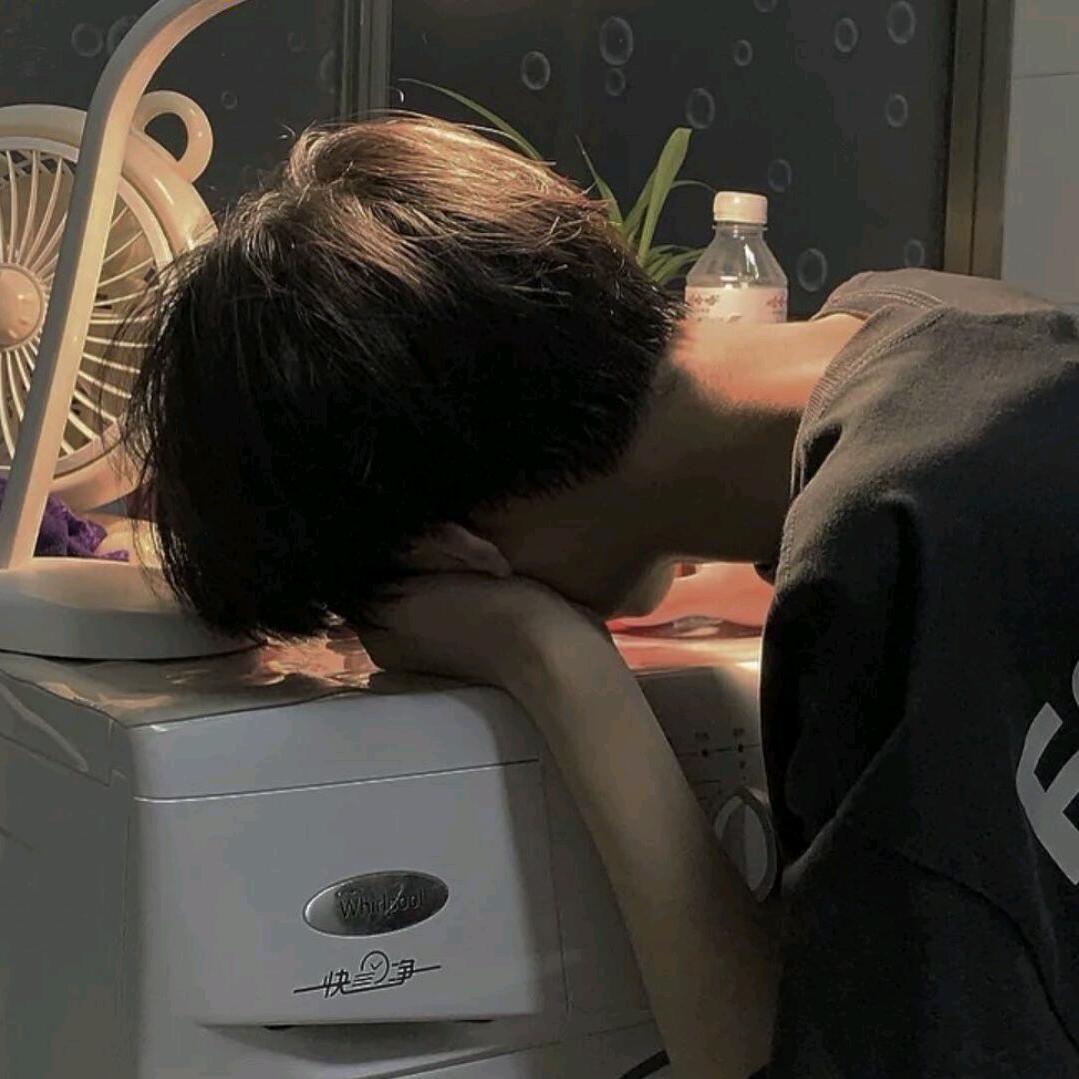 寻栖