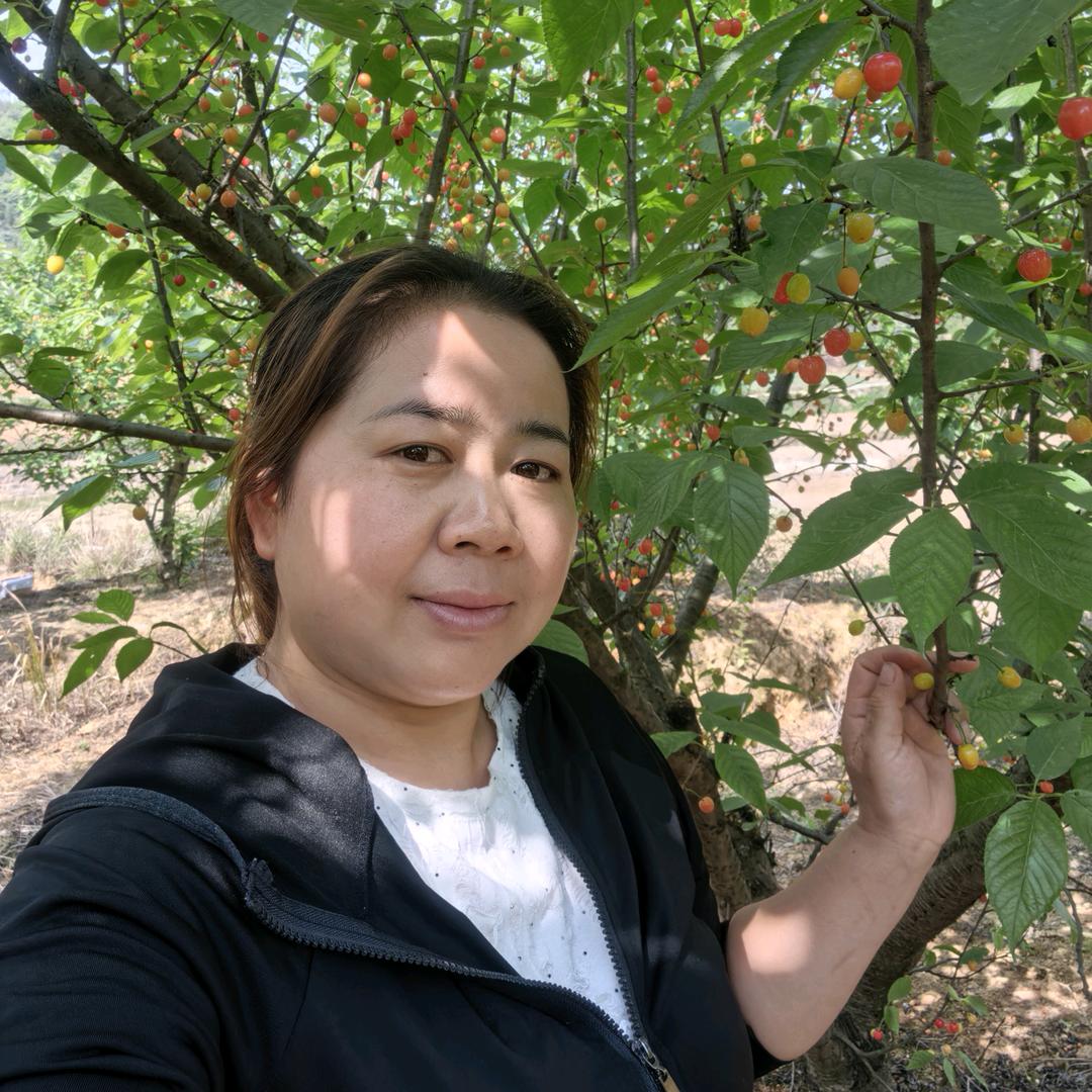 开发区（红酸壹牛）特色酸汤鱼酸汤牛肉