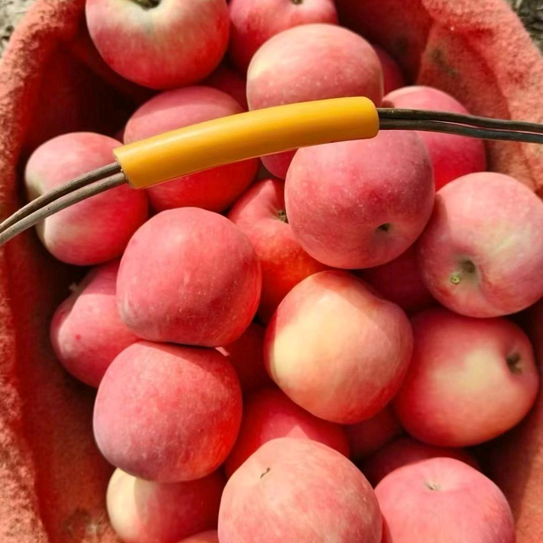 🌈🎶 宝贝单身。