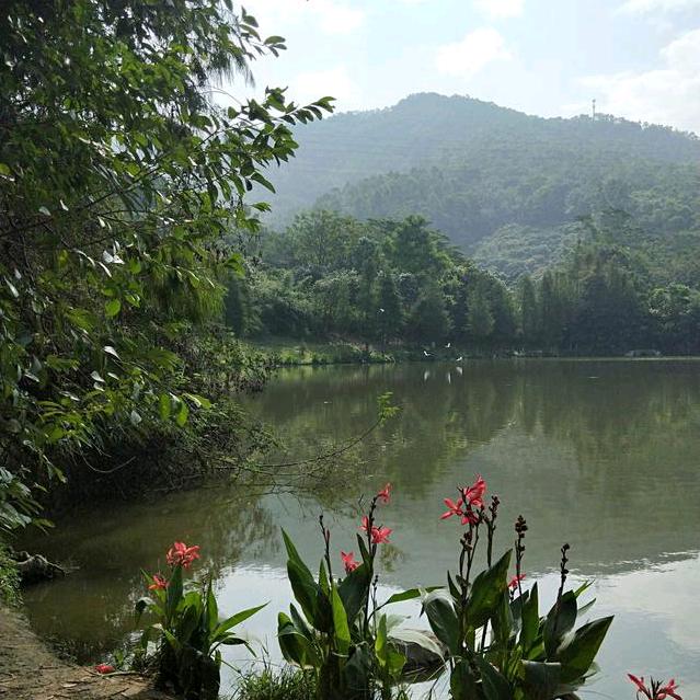 除了努力别无选择