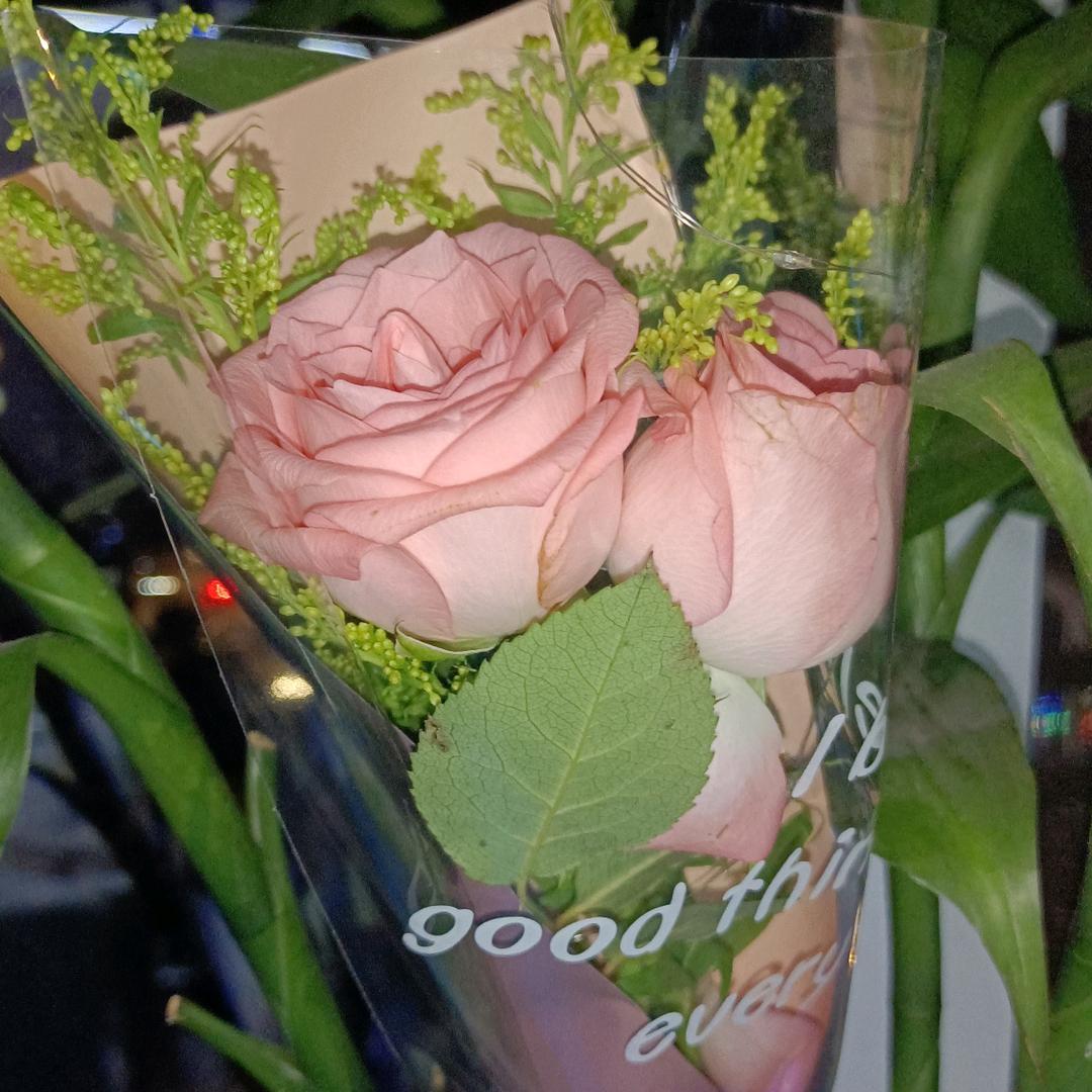 家有三千金，《好物分享》