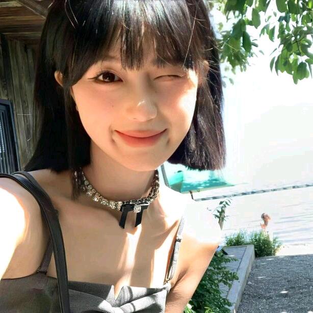 巷子里的猫.
