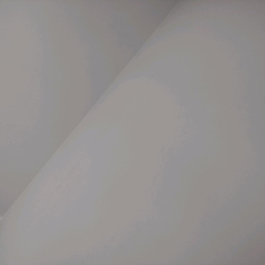 你是狗