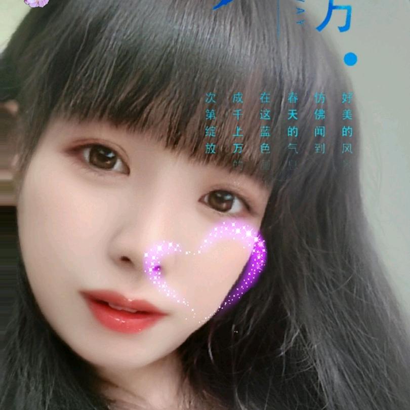 燕儿飞飞