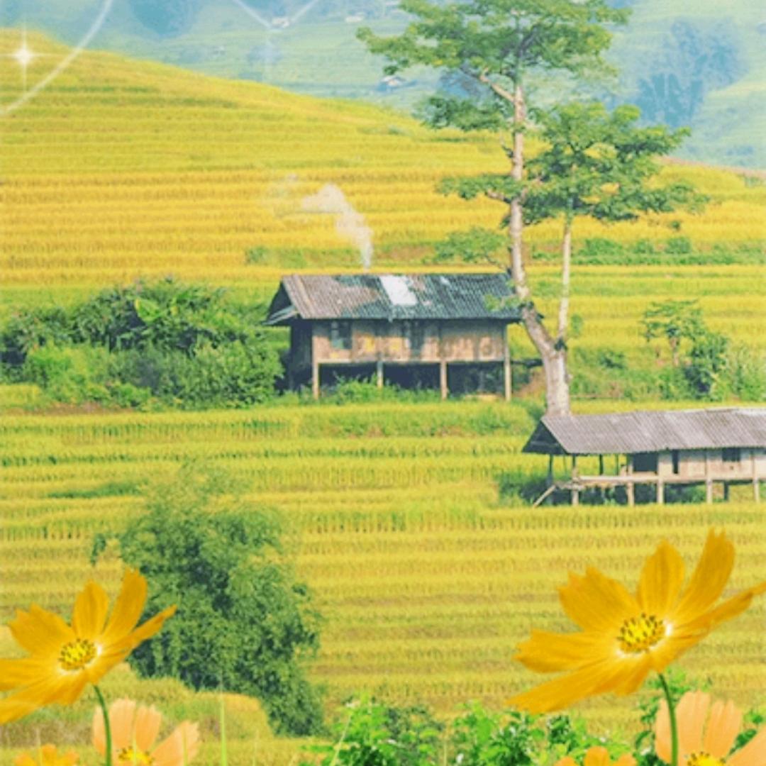与你同行