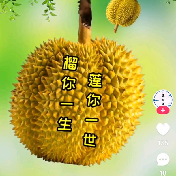 晓阳s