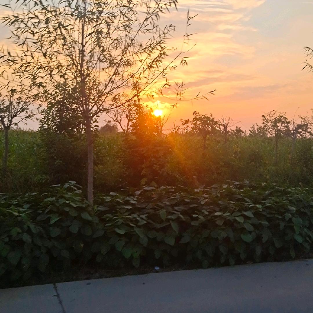 做胶带的小朱🐷