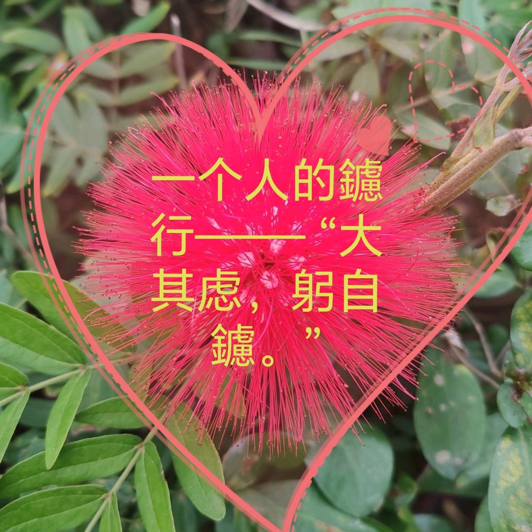 一个人的鑢行——— “大其虑，躬自鑢。”