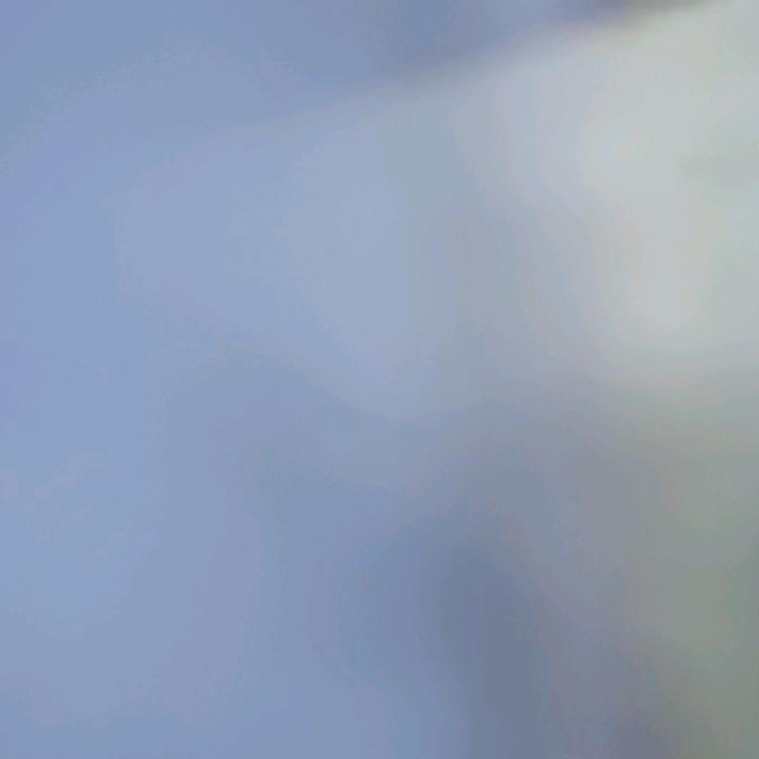 疏影