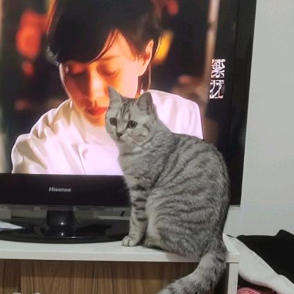 聊城伟姐