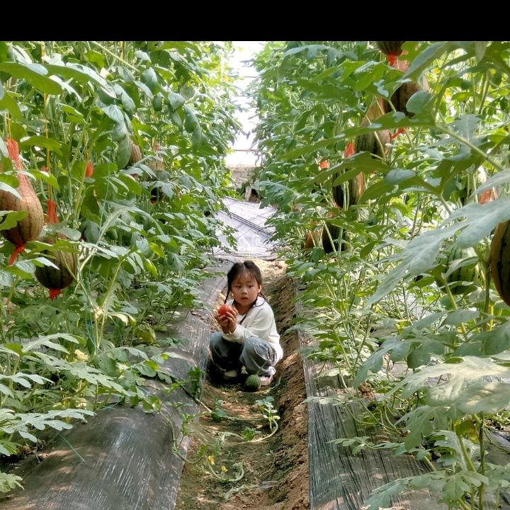 小悦涵