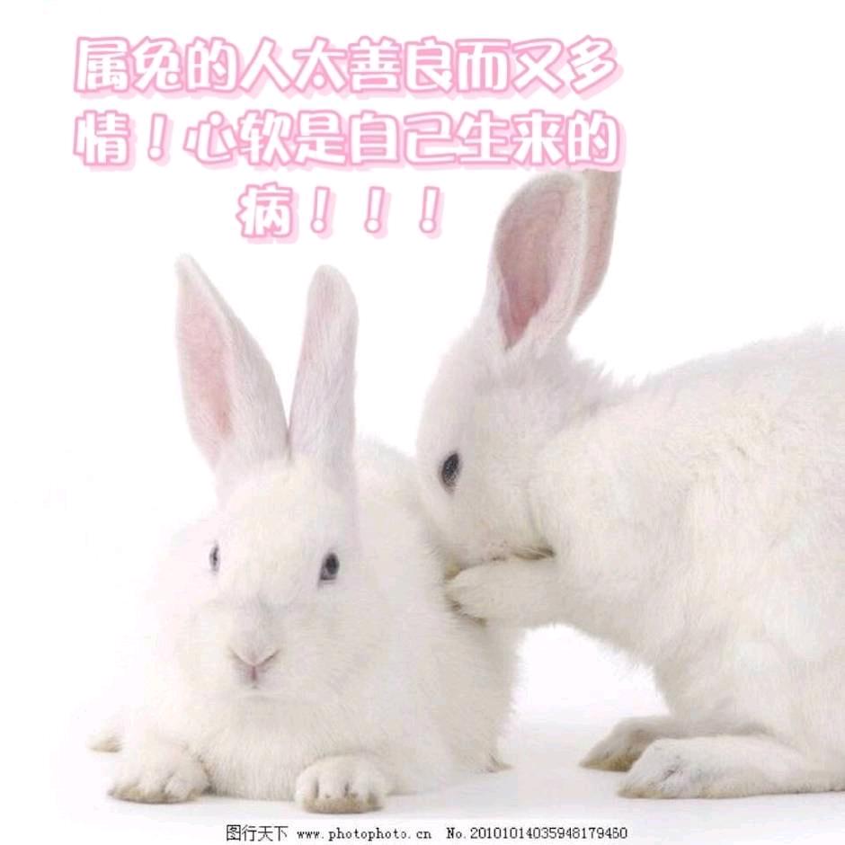 留记