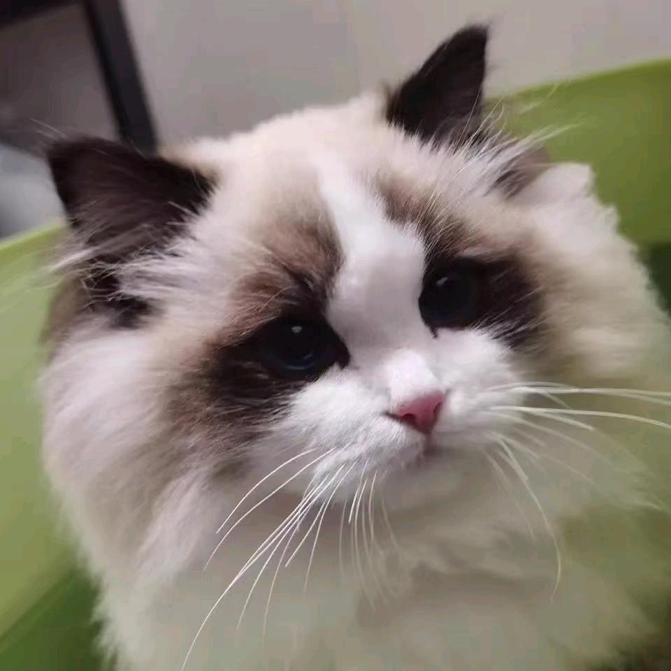 句容市宇悦宠物生活馆