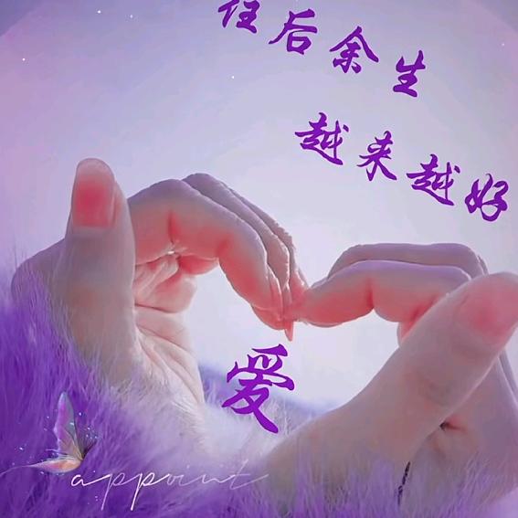 半棵呆瓜