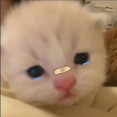 YEE_YUAN